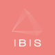 IBIS Consulting logo